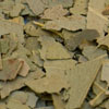 H_eucalyptus